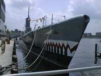 116 - Submarine